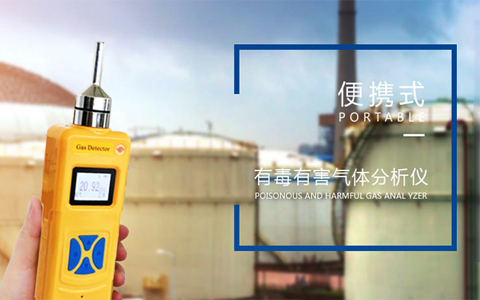 有毒有害氣體檢測儀